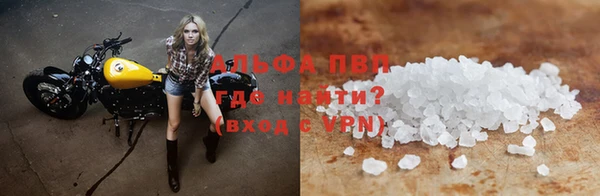 прущие грибы Абдулино