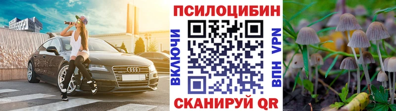 Галлюциногенные грибы мухоморы  kraken ссылки  Пошехонье  где найти  